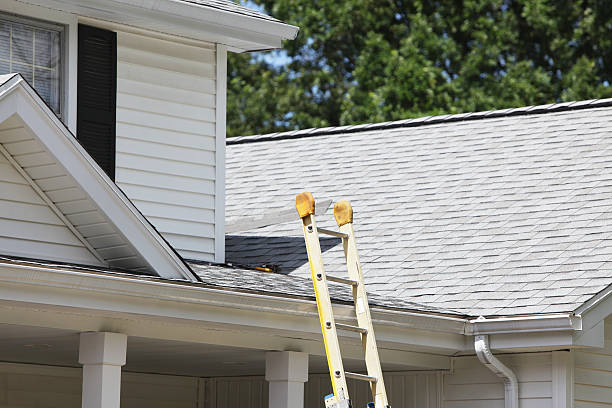 Best Residential Vinyl Siding Installation  in Kean University, NJ