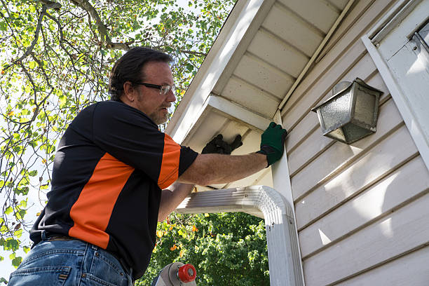 Affordable siding repair and maintenance services in Kean University, NJ